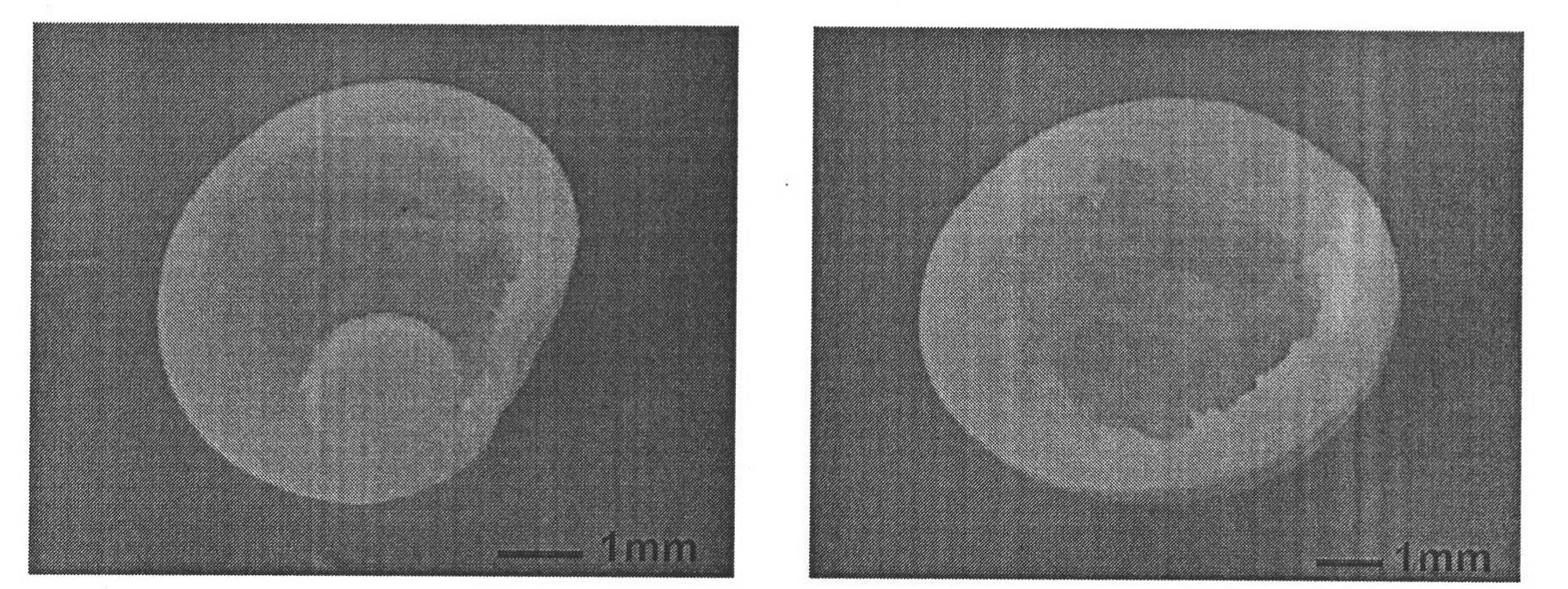 Biodegradable poly(butylene adipate/terephthalate) hollow foamed particle and preparation method thereof