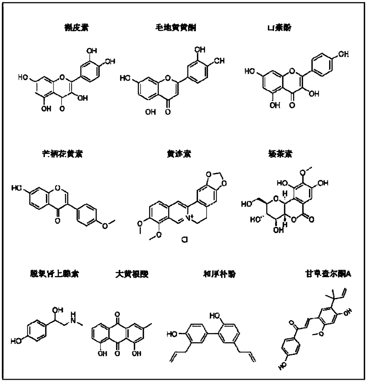 Compound for delaying senescence of human mesenchymal stem cells and application of same