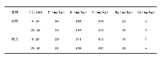 Method for efficiently producing leaves of tea fertilizer No.1