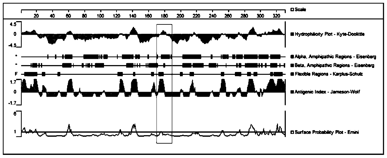 Dominant epitope peptide of anti-Mrgprx2 antibody and application thereof