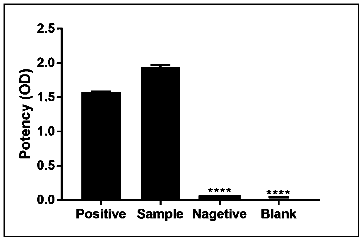 Dominant epitope peptide of anti-Mrgprx2 antibody and application thereof