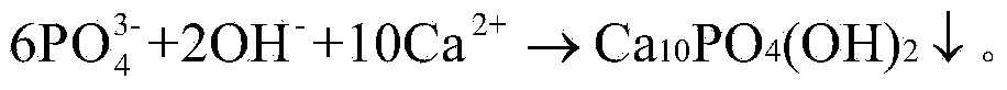 Method for recycling nitrogen and phosphorus from biogas slurry in pig farms