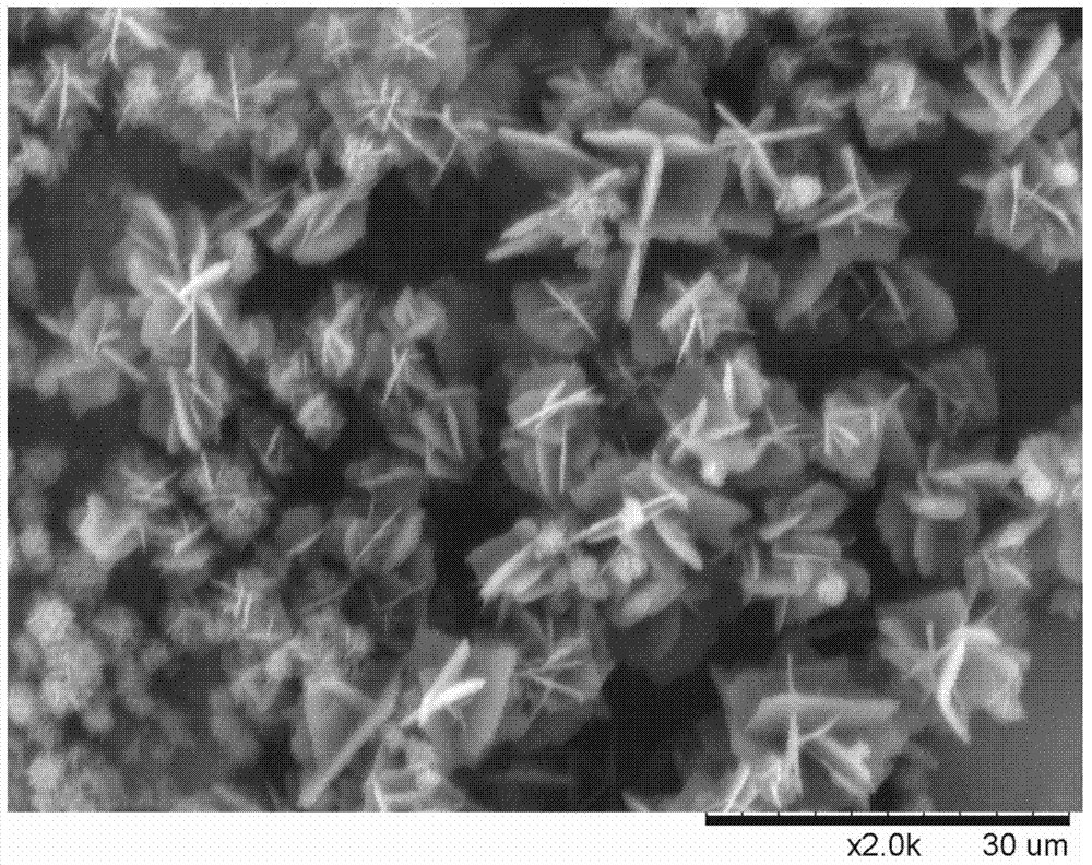 Preparation method of energetic fullerene thin film in petal-shaped microstructure