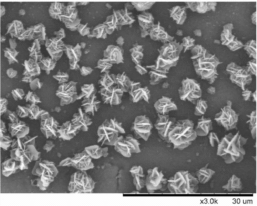 Preparation method of energetic fullerene thin film in petal-shaped microstructure