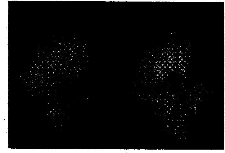 Compound chemical hybridizing agent composite and application thereof