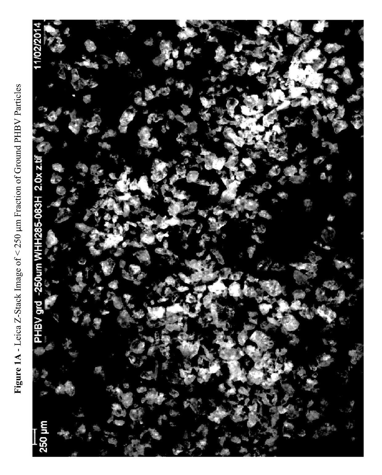 Skin cleansing compositions comprising biodegradable abrasive particles