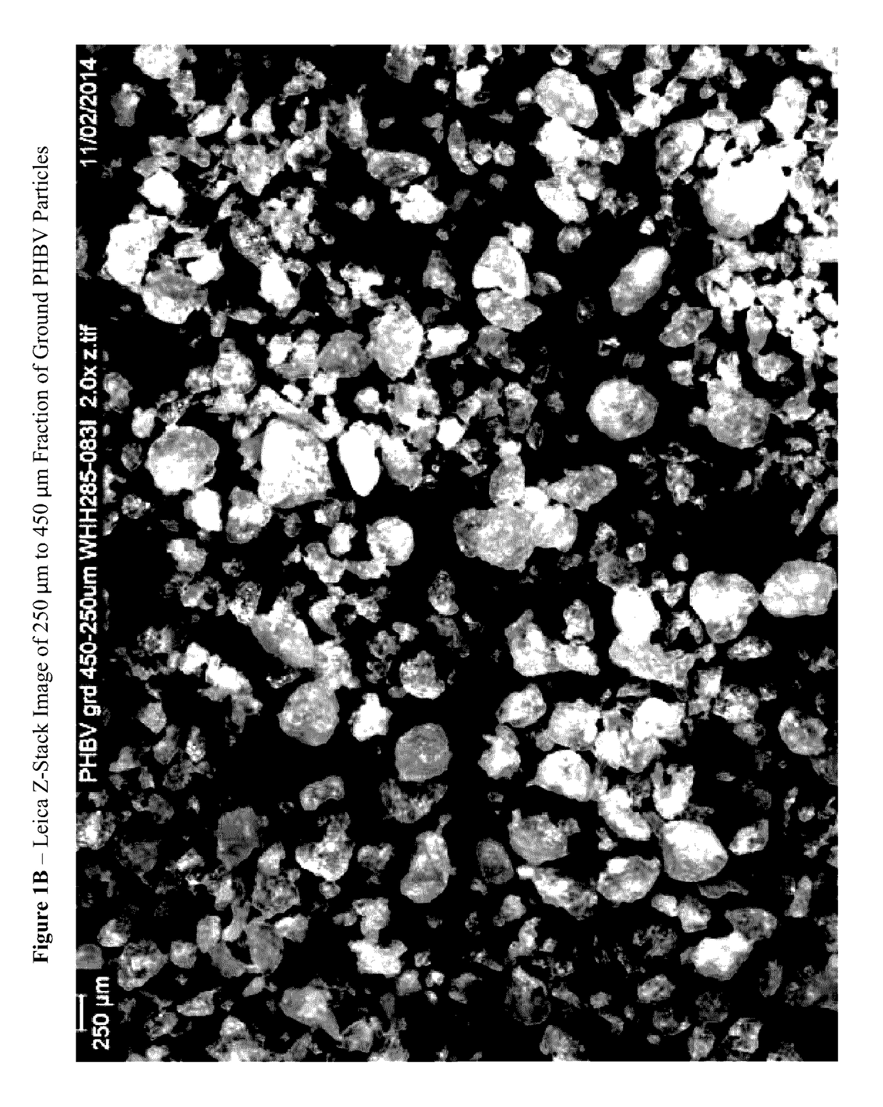 Skin cleansing compositions comprising biodegradable abrasive particles