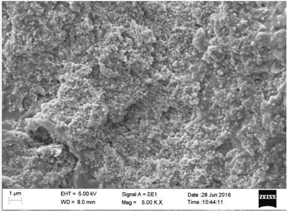 Resin wave absorption paint and preparation method thereof