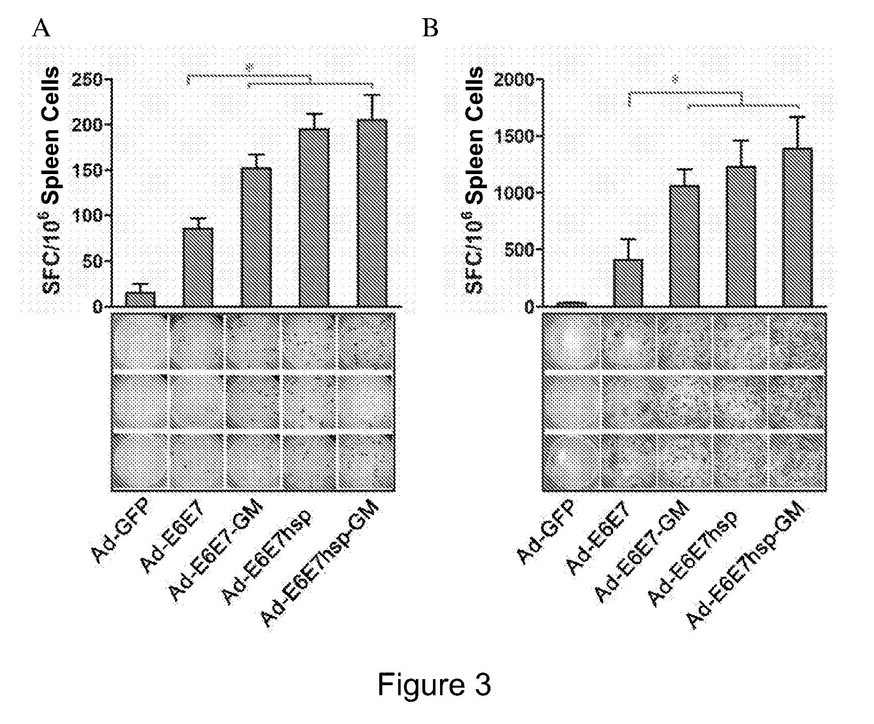 Immunity enhancing therapeutic vaccine for HPV and related diseases