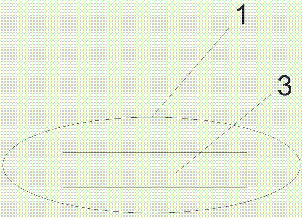 Isoflurane based tranquilizing drug