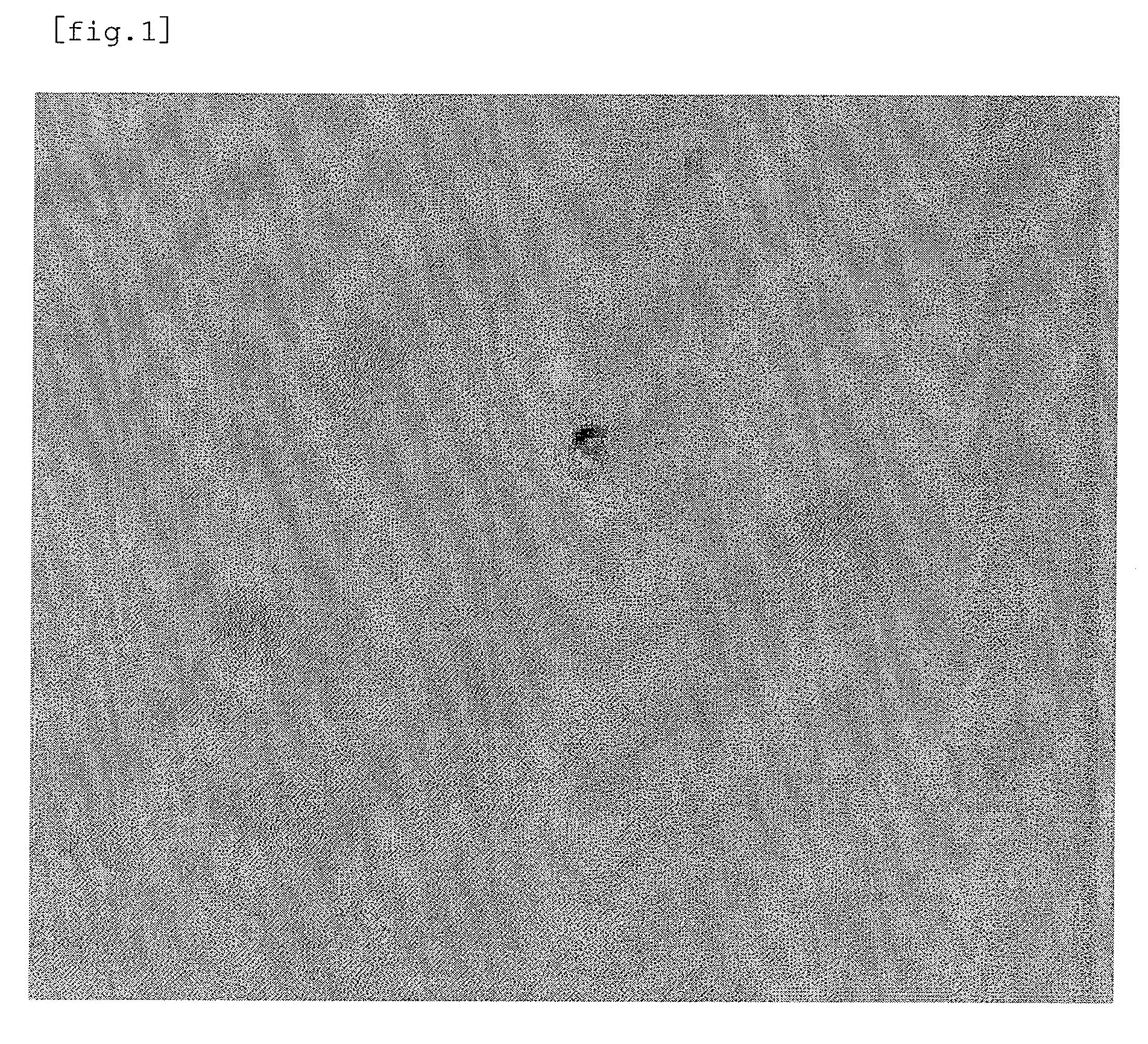 Pharmaceutical composition for external use