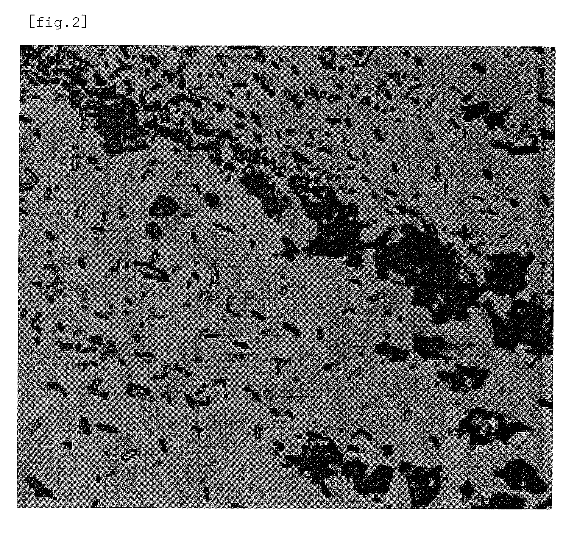 Pharmaceutical composition for external use