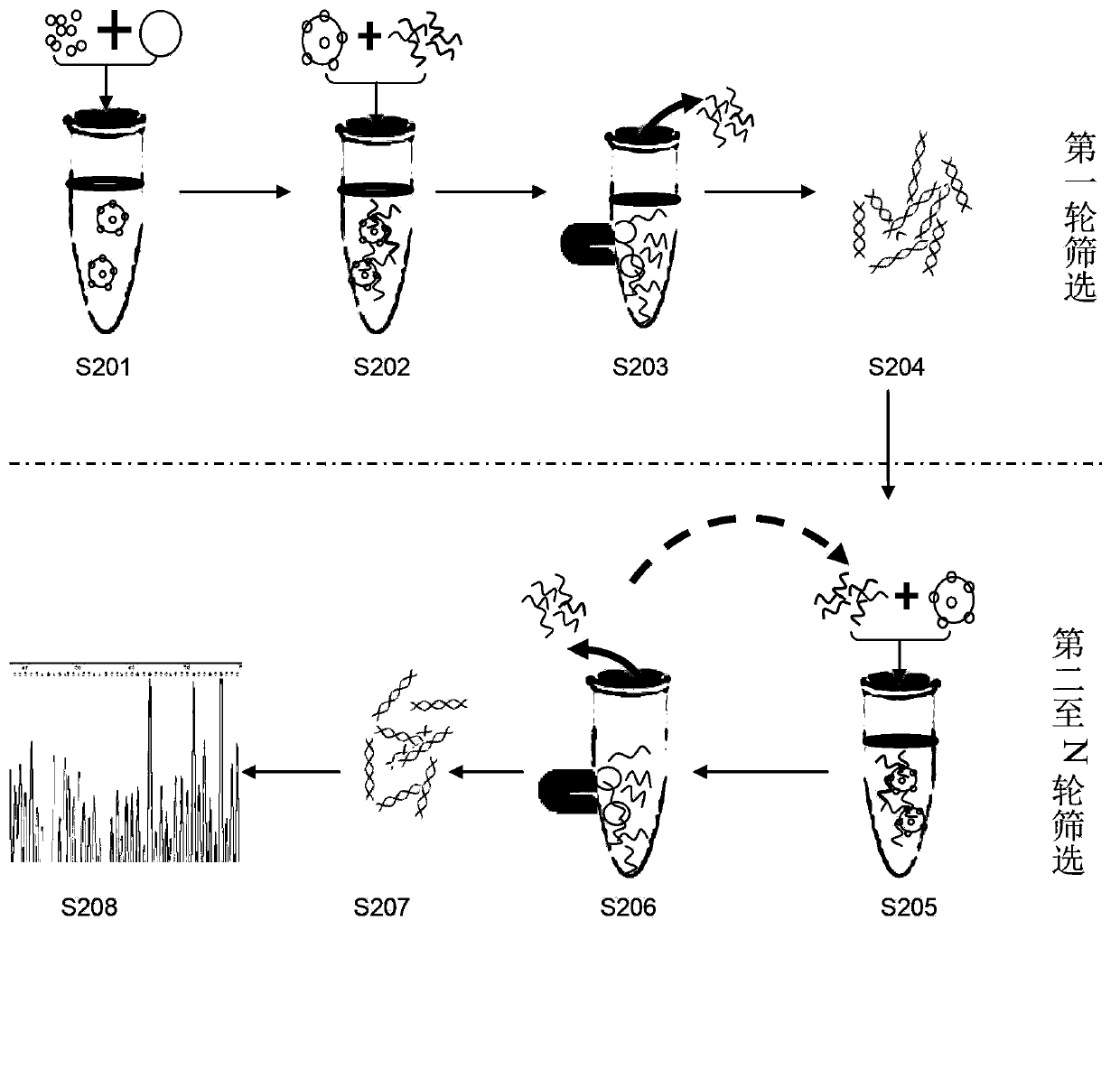 Decreasing DNA library concentration based aptamer screening method and aptamer