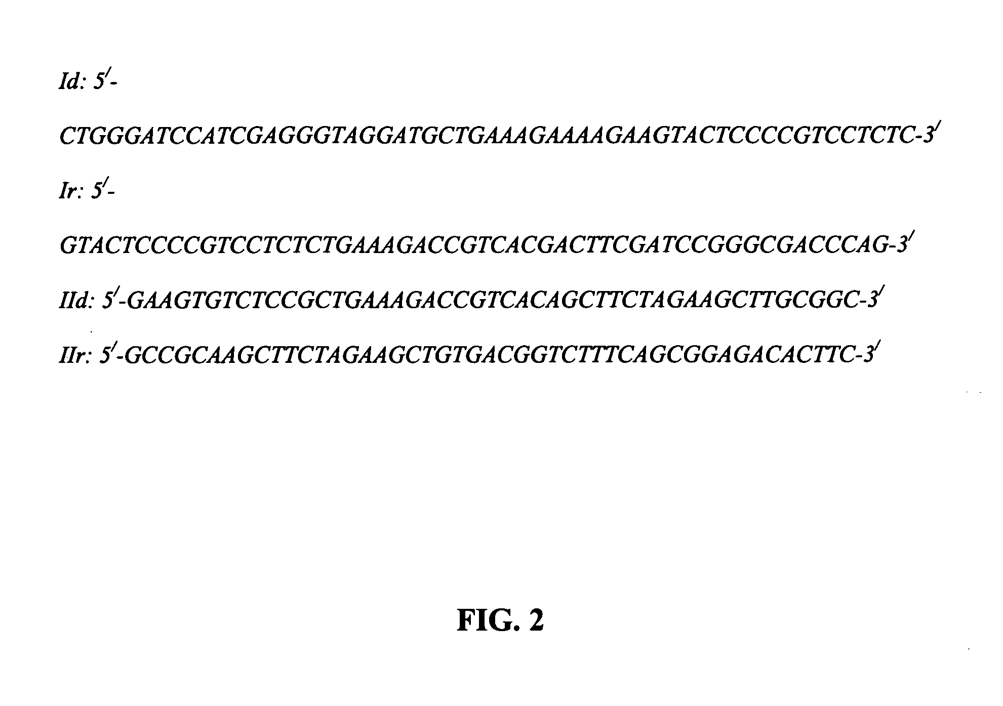 Peptides and recombinant proteins mimicking interferons