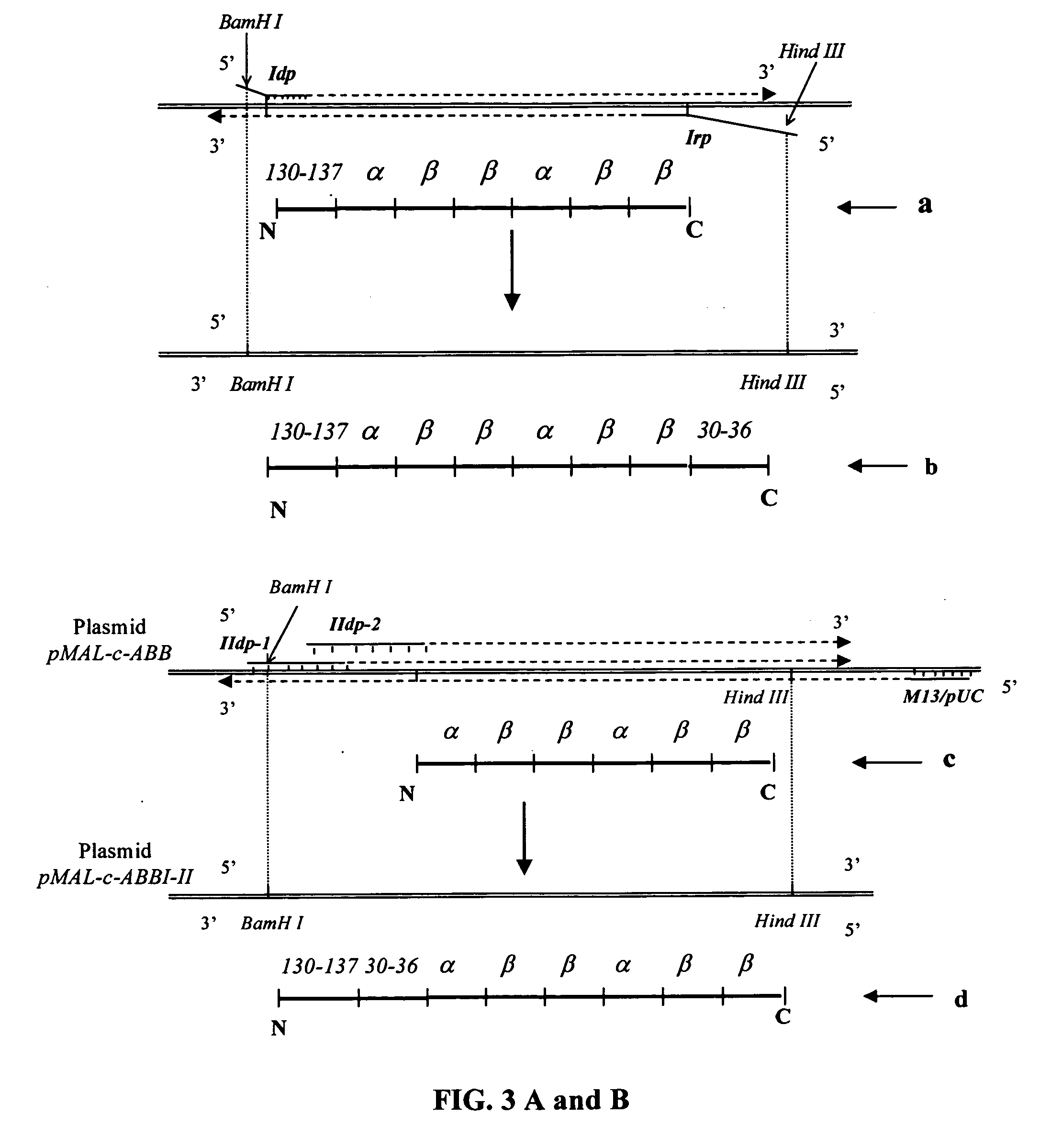 Peptides and recombinant proteins mimicking interferons