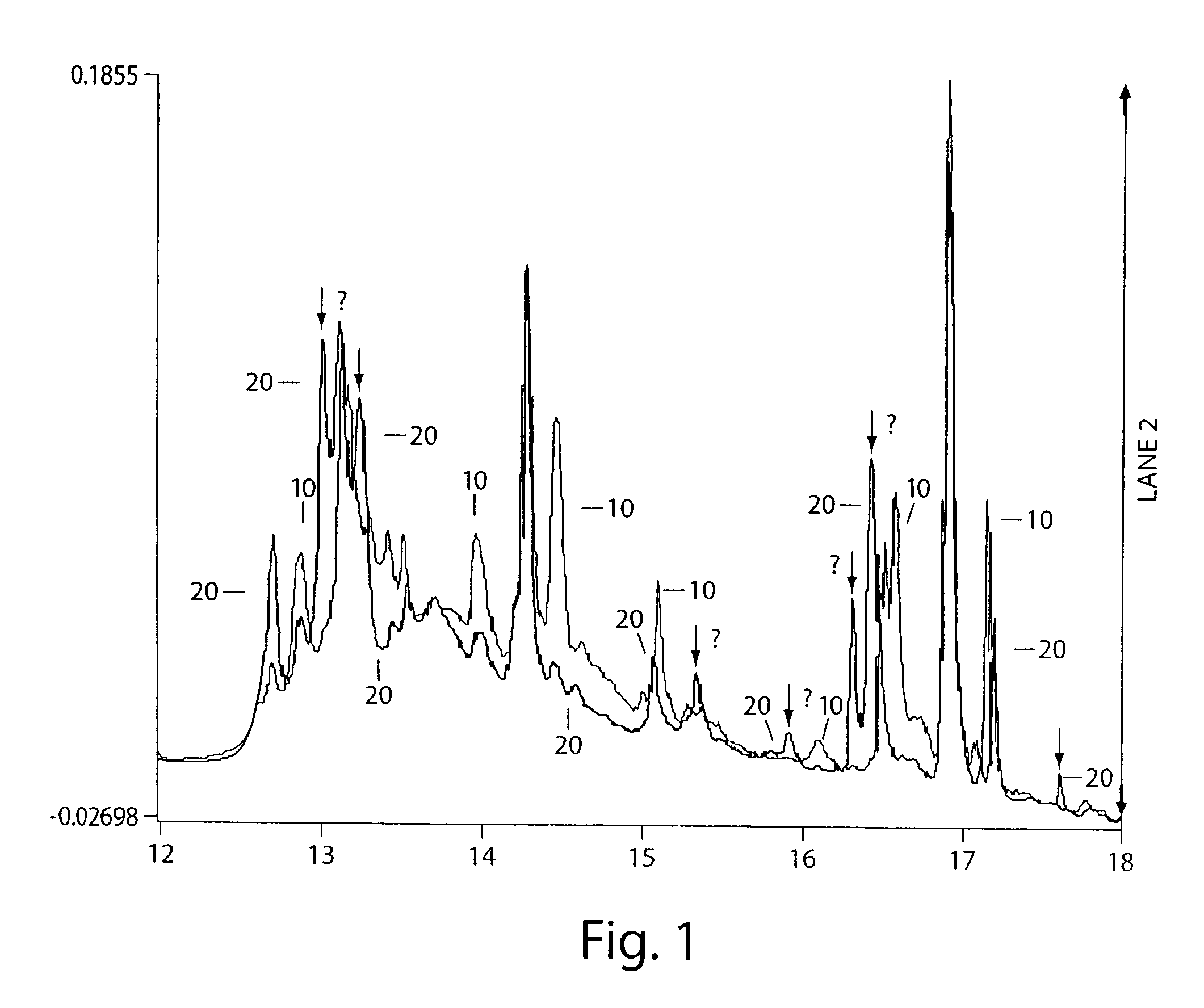 Systems and methods for characterization of molecules