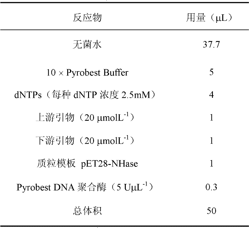 Mutant nitrile hydratase