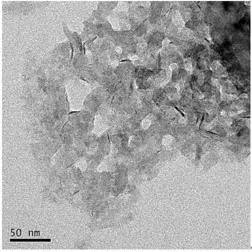 Preparation method and application of porous single-layer MoS1.85 nanonet