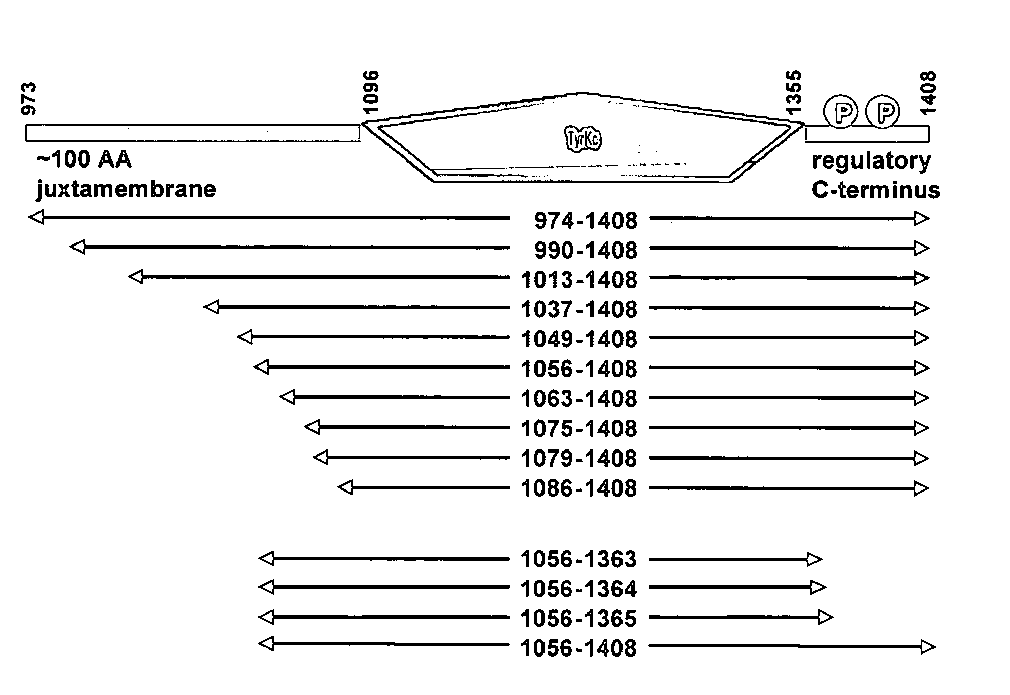 Enzyme expression methods