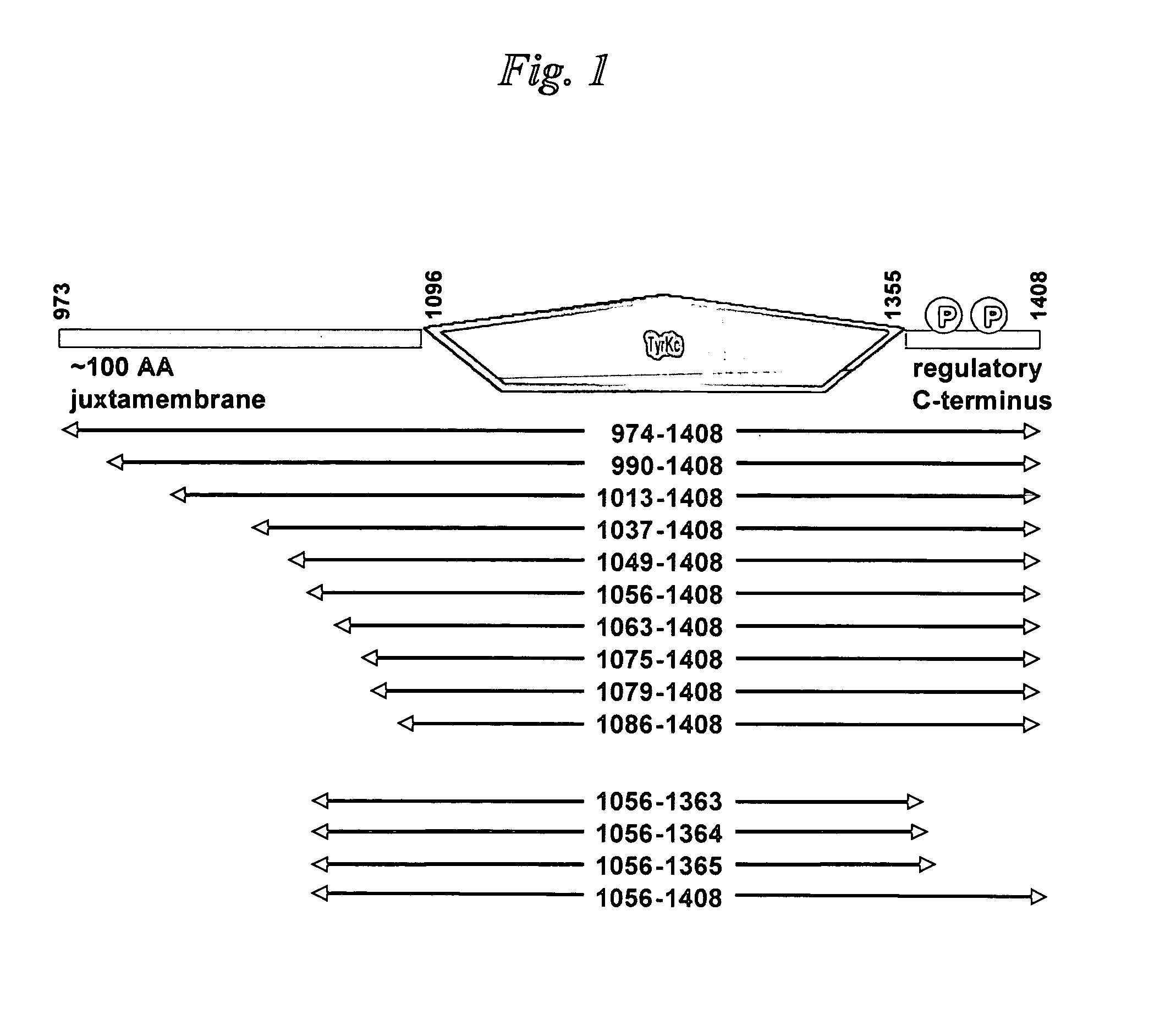 Enzyme expression methods