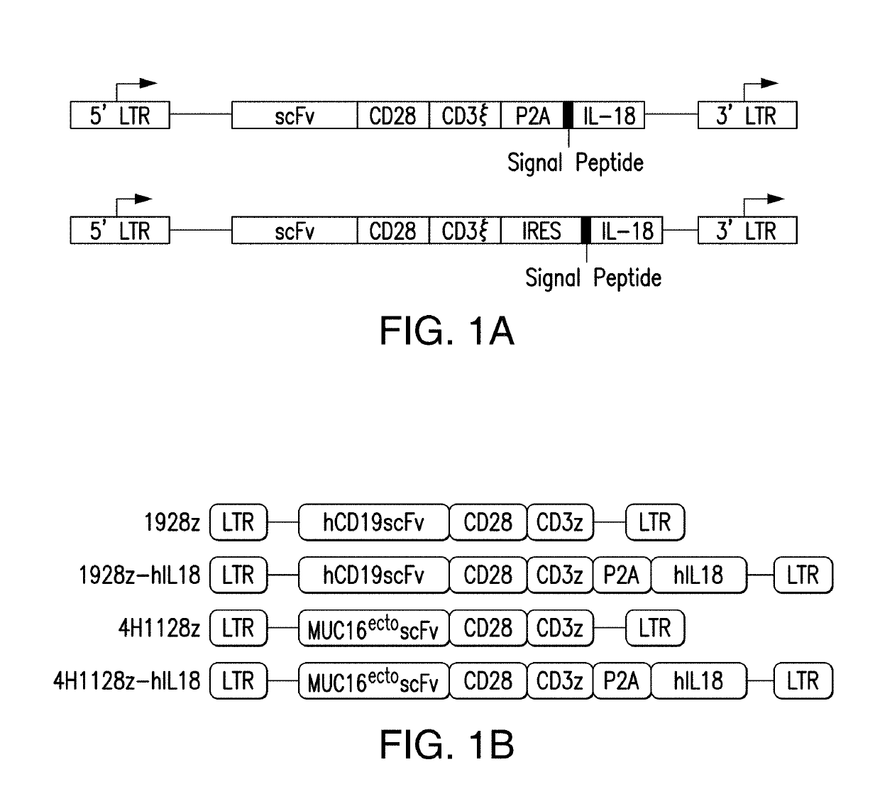 Compositions and methods for immunotherapy