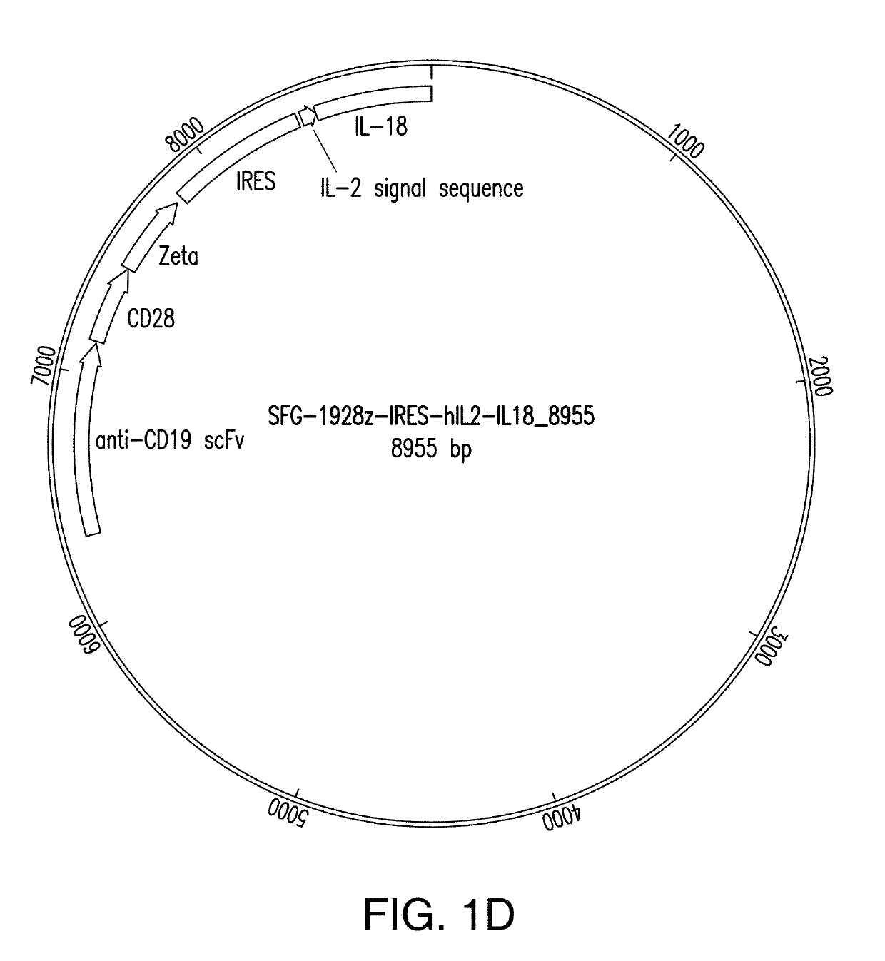 Compositions and methods for immunotherapy