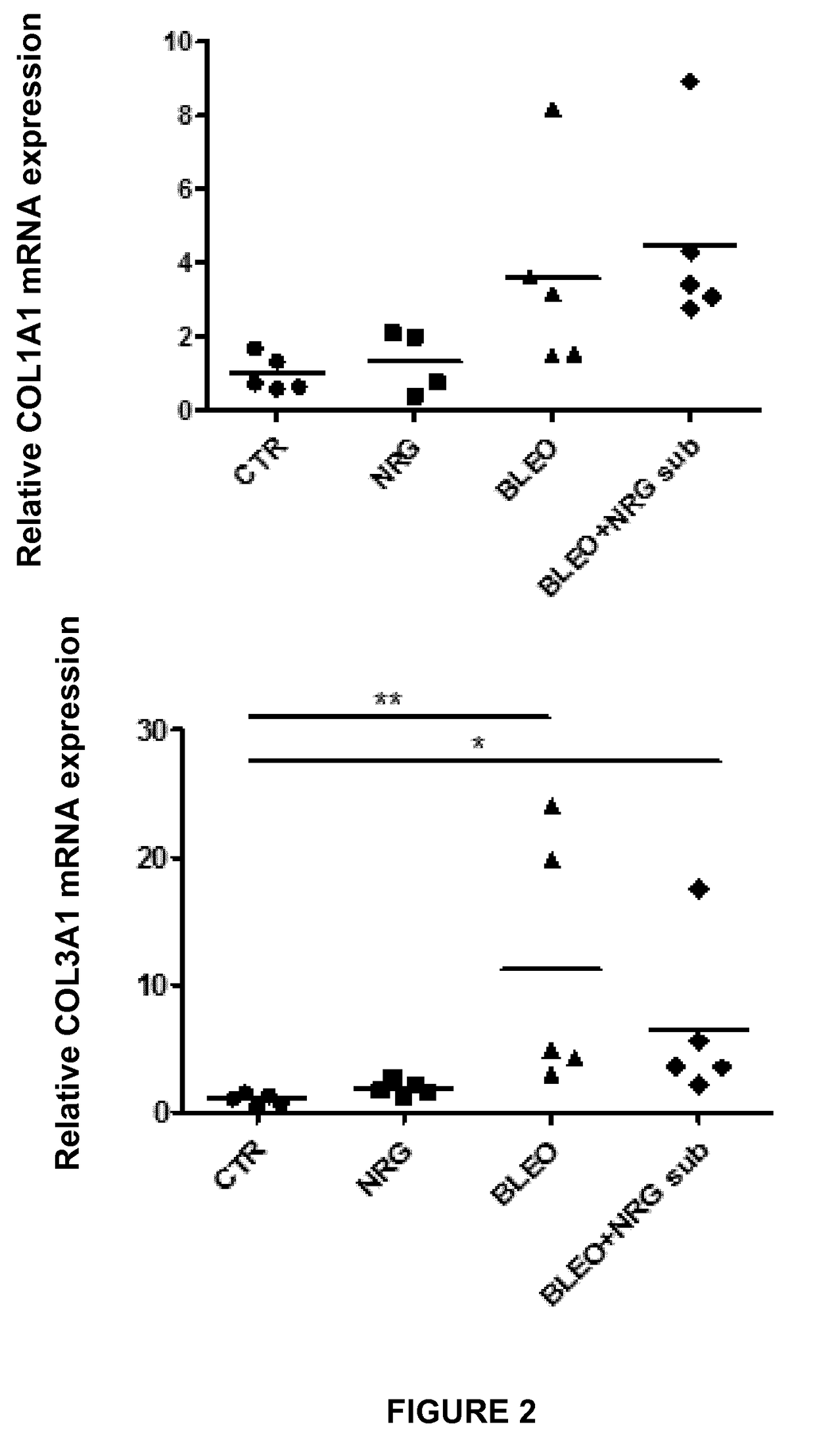 Neuregulin in the treatment of fibrotic disorders