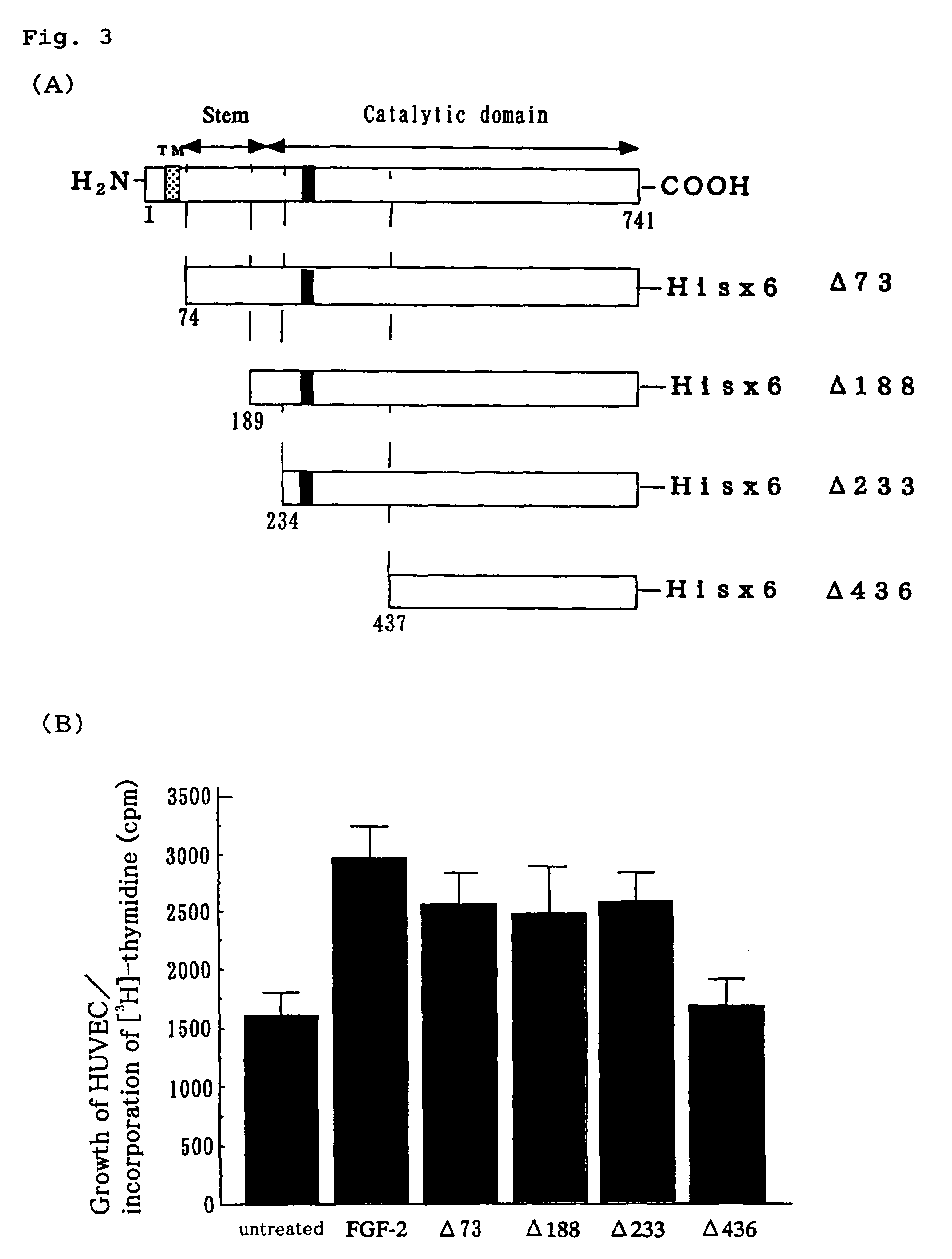 Glycosyltransferase GnT-V having neovascularization action