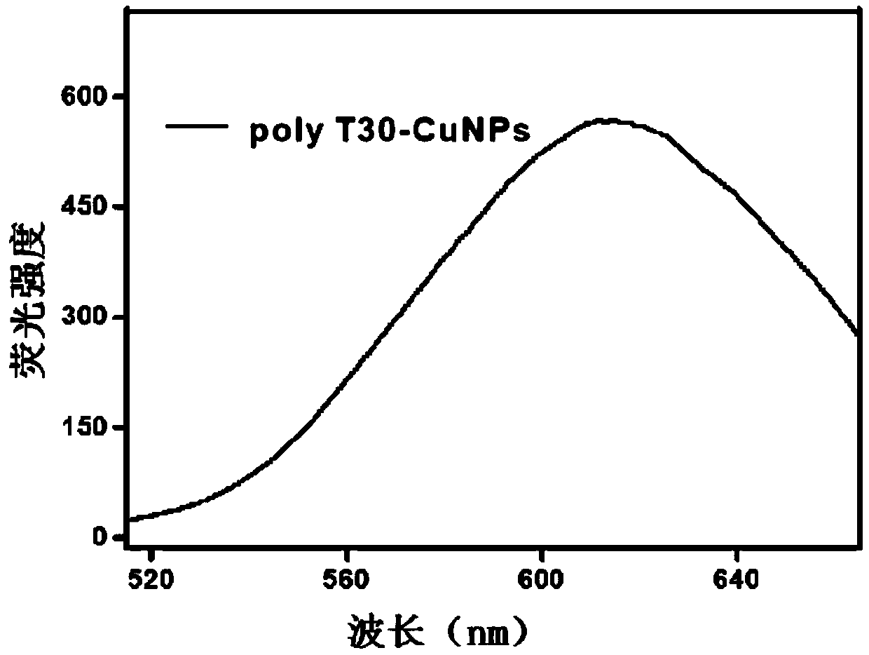 Petroleum hydrocarbon pollution removal composition and applications thereof