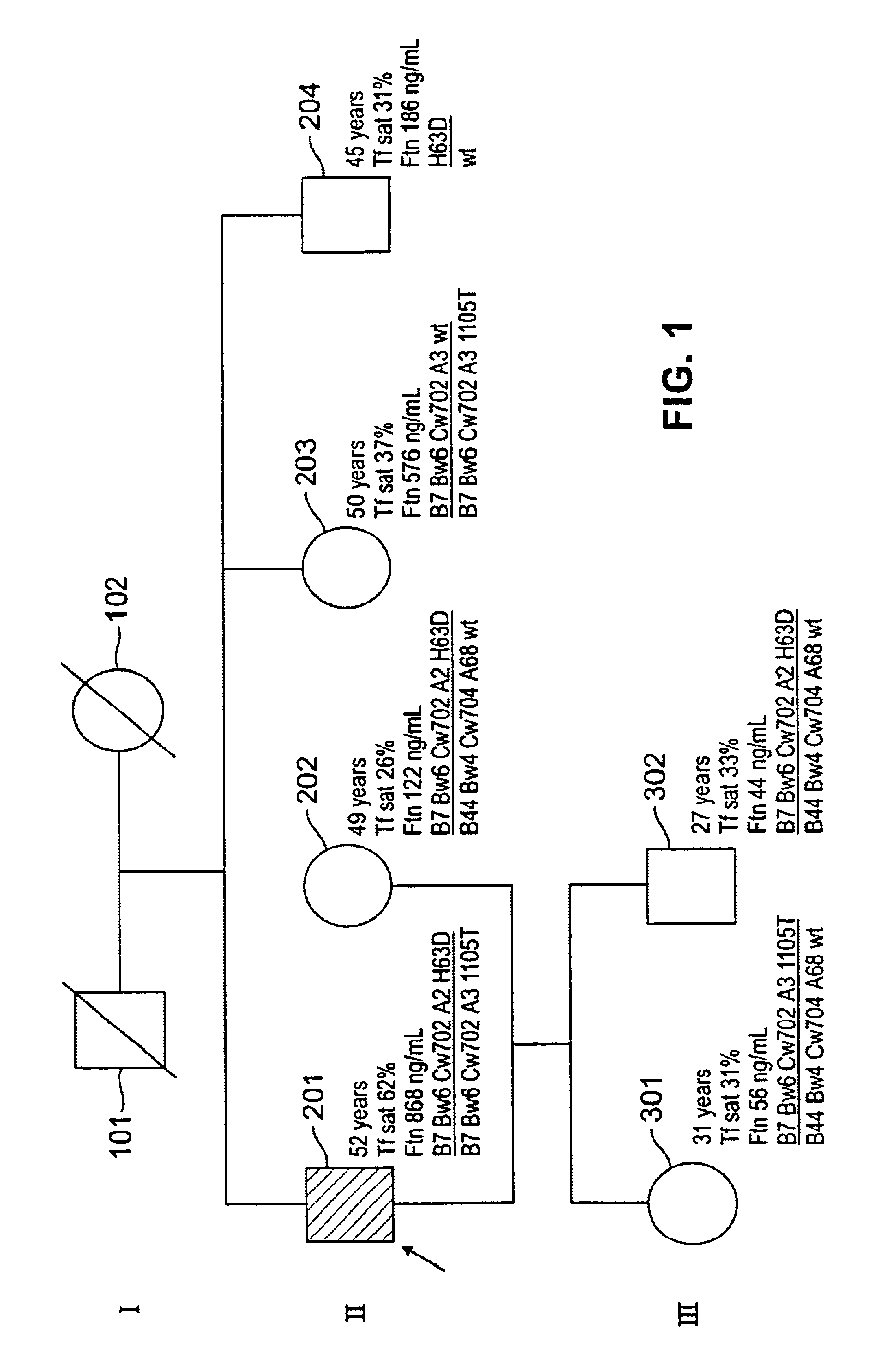 Mutations associated with iron disorders