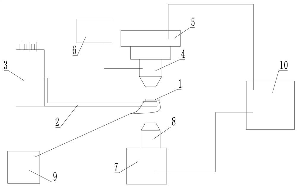 Fluid driving method based on algae cells