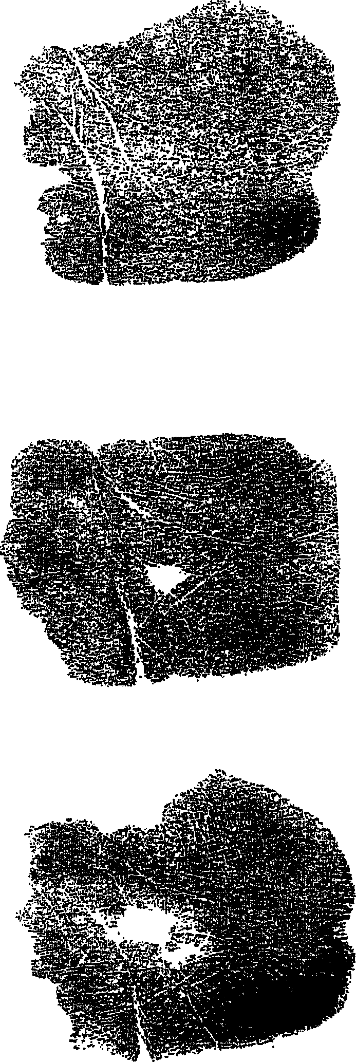 Method and apparatus for identifying a palmprint image