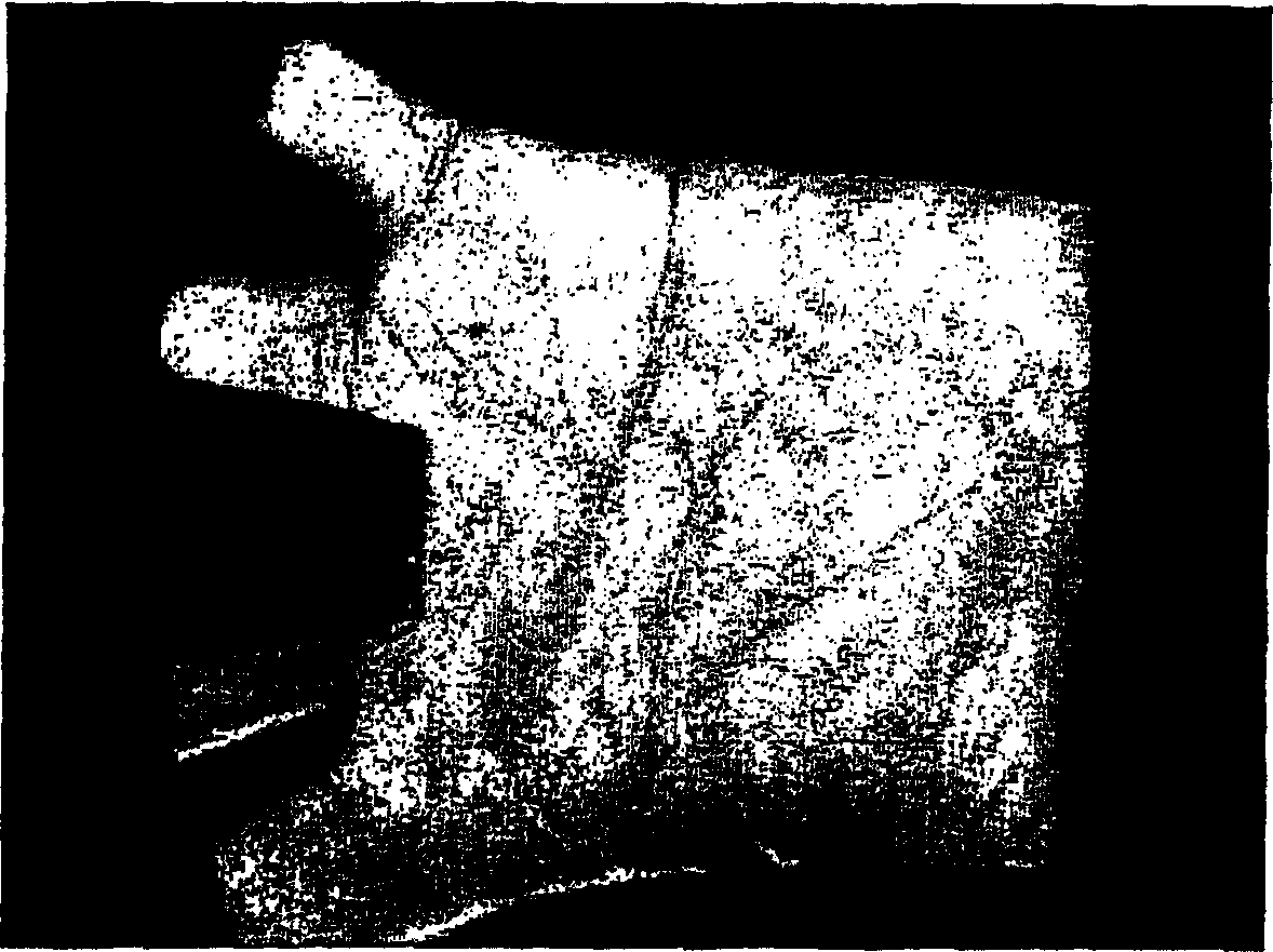 Method and apparatus for identifying a palmprint image