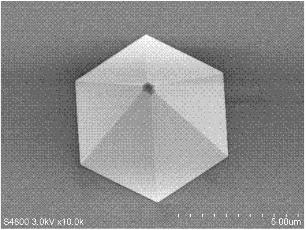 GaN nanowire and preparation method thereof