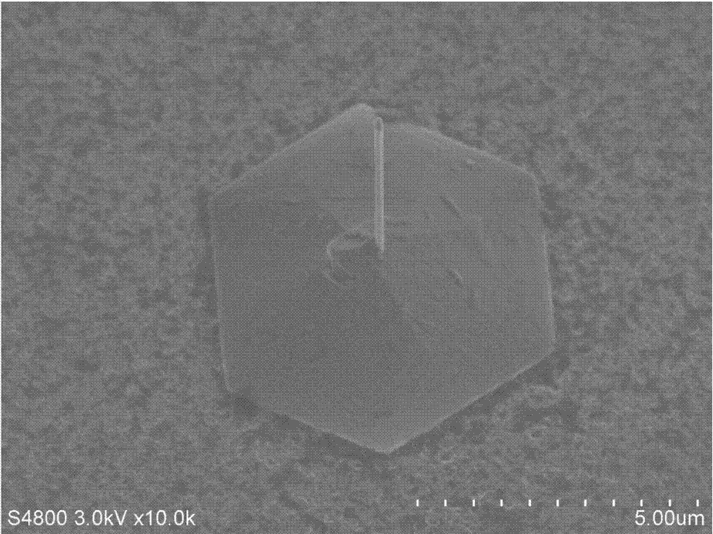 GaN nanowire and preparation method thereof