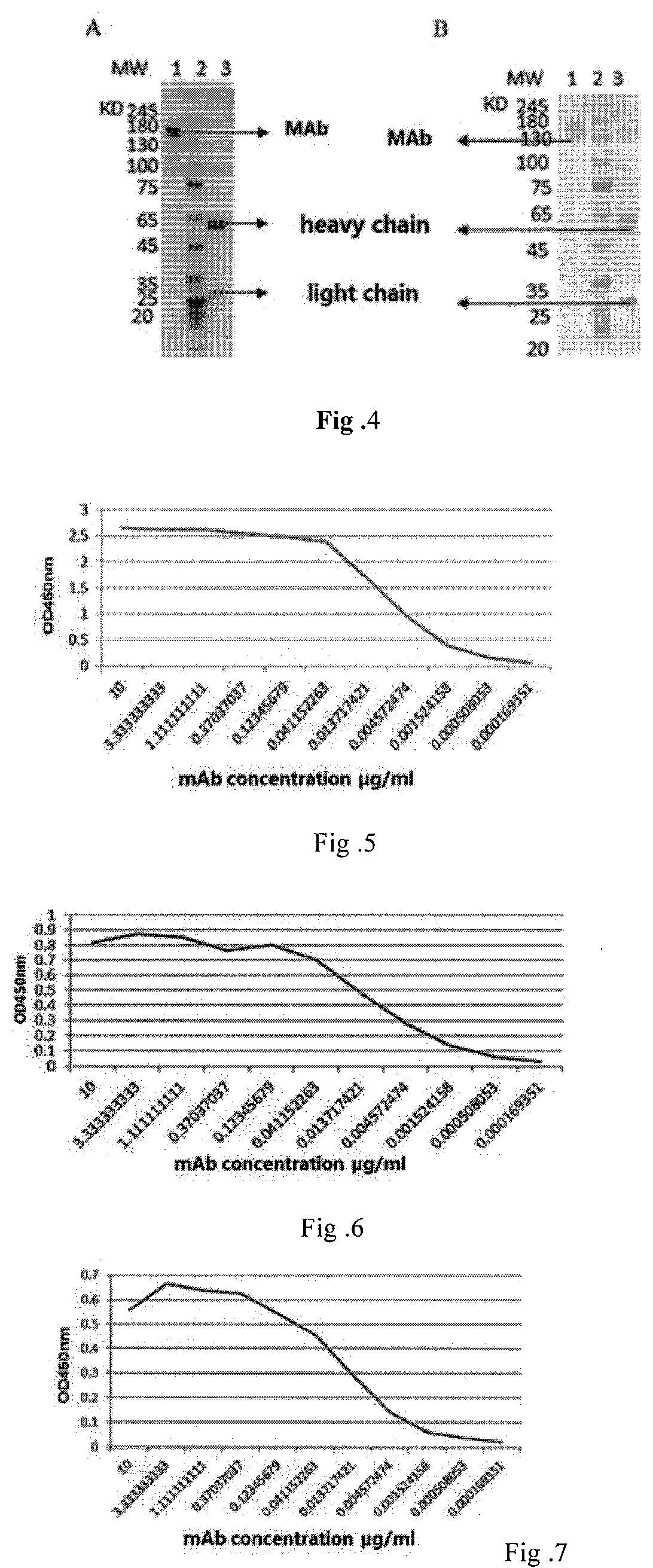 A fully native human neutralizing monoclonal antibody against tetanus toxin and its applications