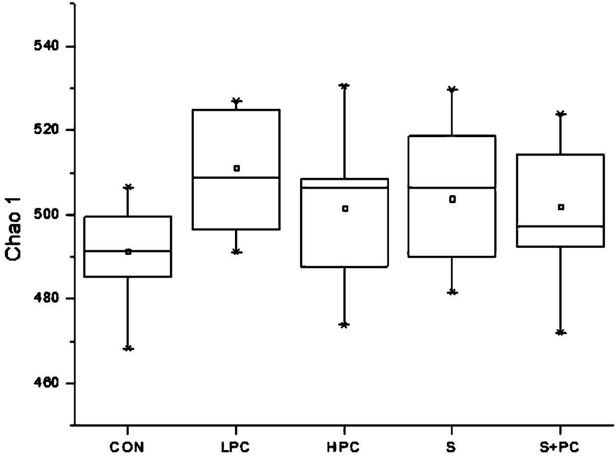 Composition containing phycocyanin and pine pollen as well as preparation and application of composition