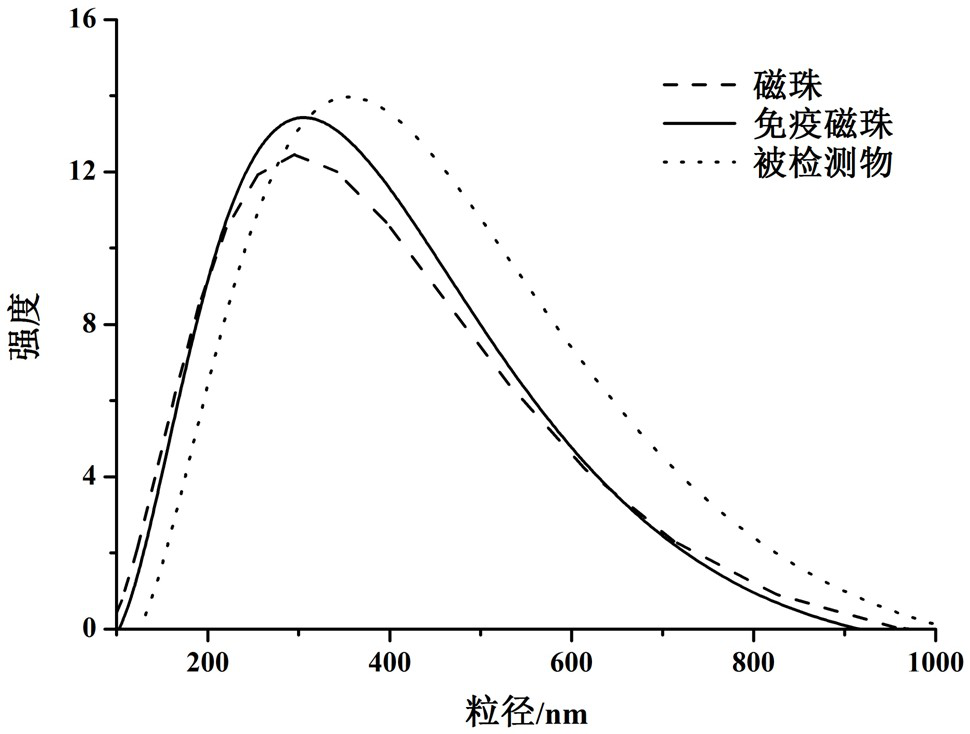 An immunomagnetic bead chromatography test strip and rapid detection method for detecting Cronobacter