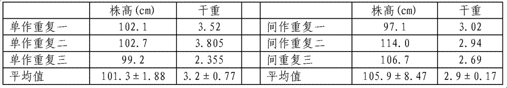 Method of producing while recovering for cadmium-polluted vegetable field