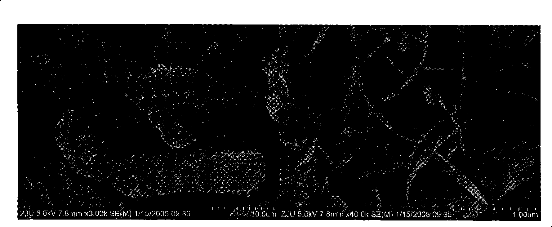 Visible light response method for preparing Bi2WO6 photocatalyst fused salt