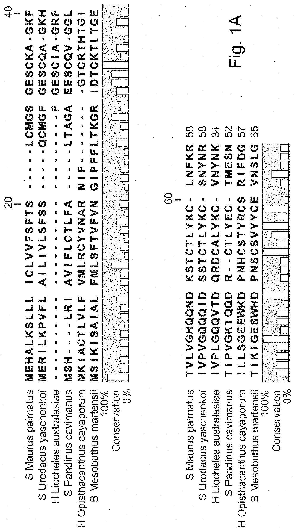 Use of La1-like peptide isolated from maurus palmatus venom as an activator of sperm motility in mammals