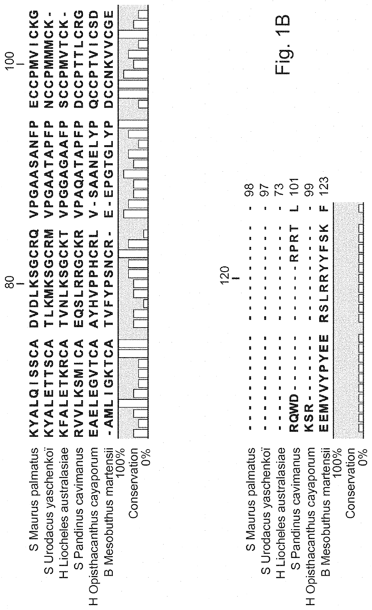 Use of La1-like peptide isolated from maurus palmatus venom as an activator of sperm motility in mammals