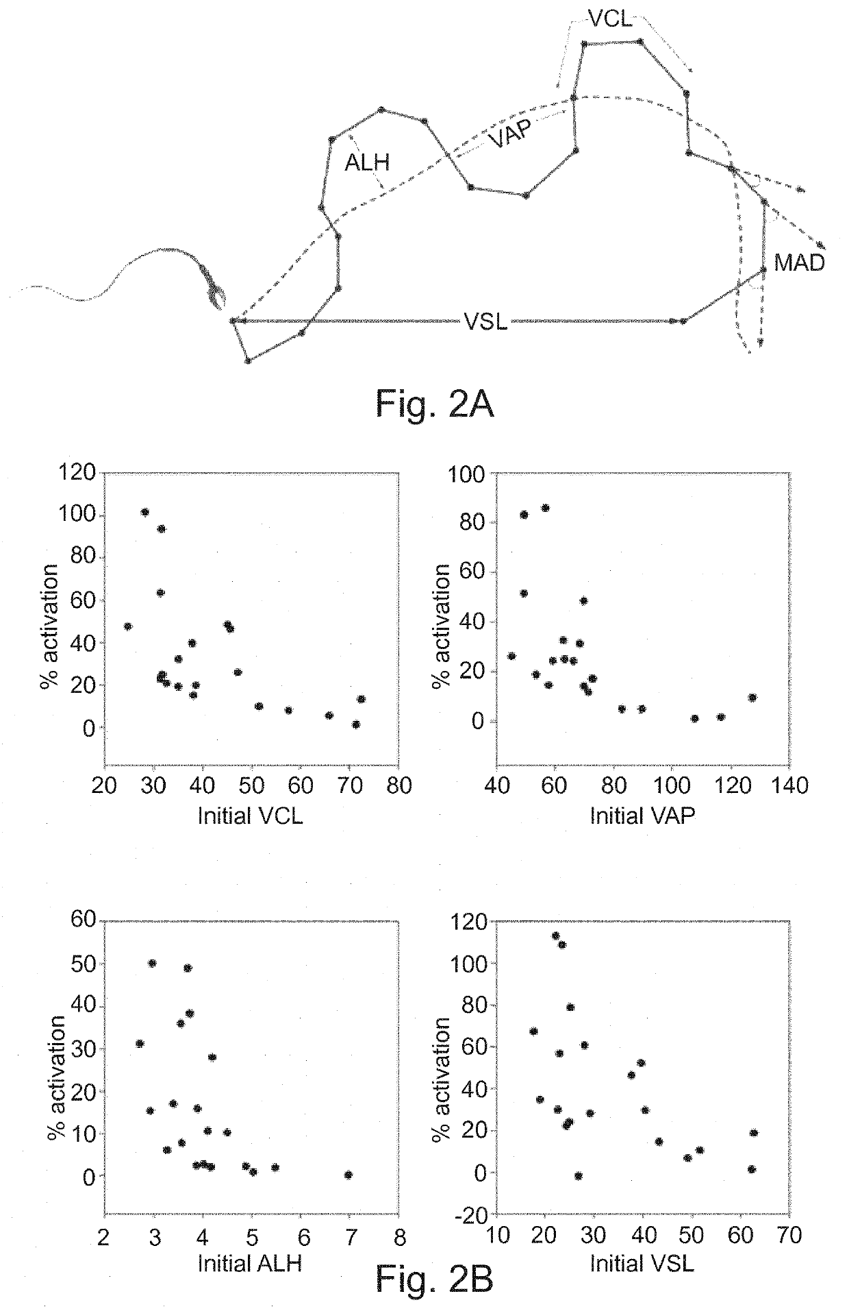 Use of La1-like peptide isolated from maurus palmatus venom as an activator of sperm motility in mammals