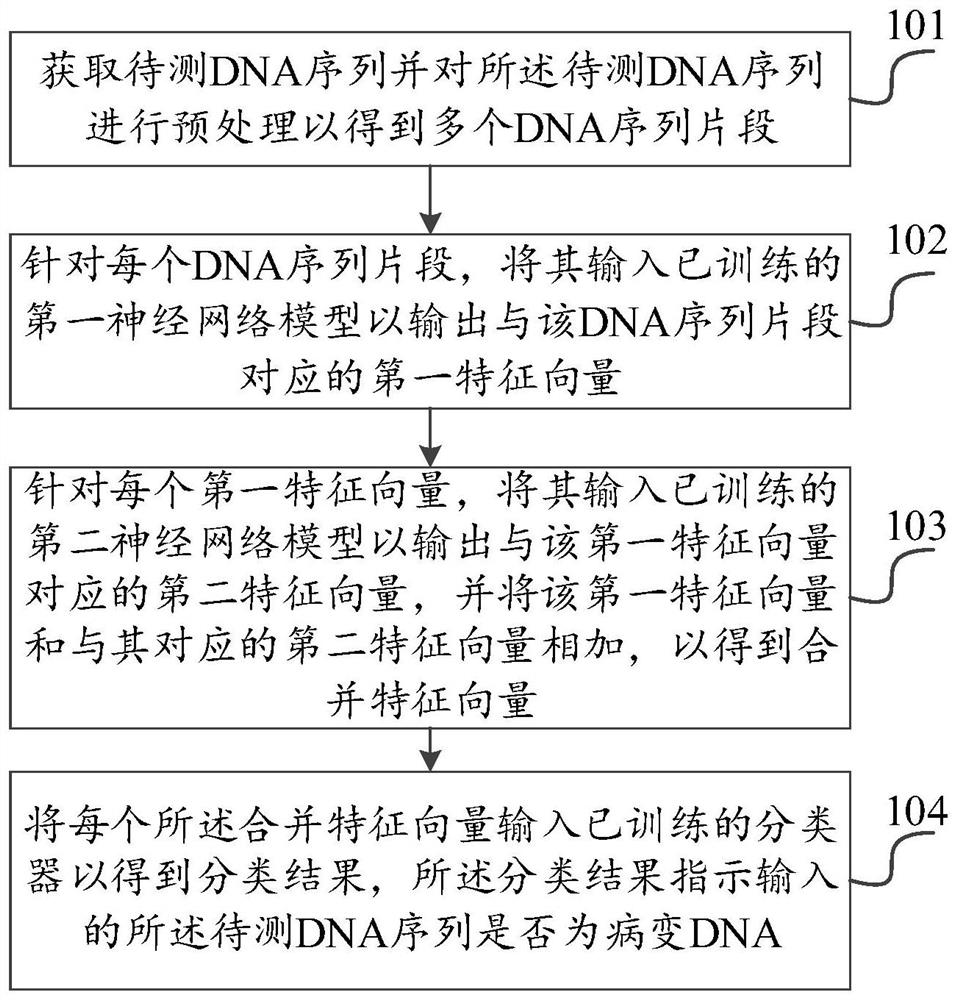 Lesion DNA recognition method and device, electronic equipment and storage medium