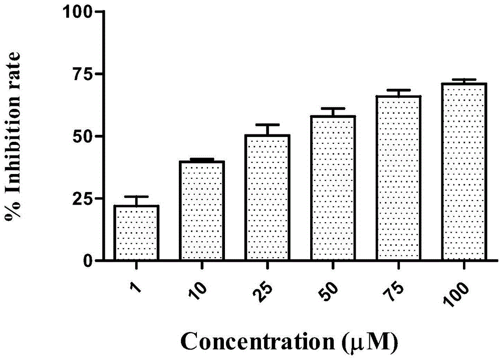 Anti-tumor drug compound, preparation method and application