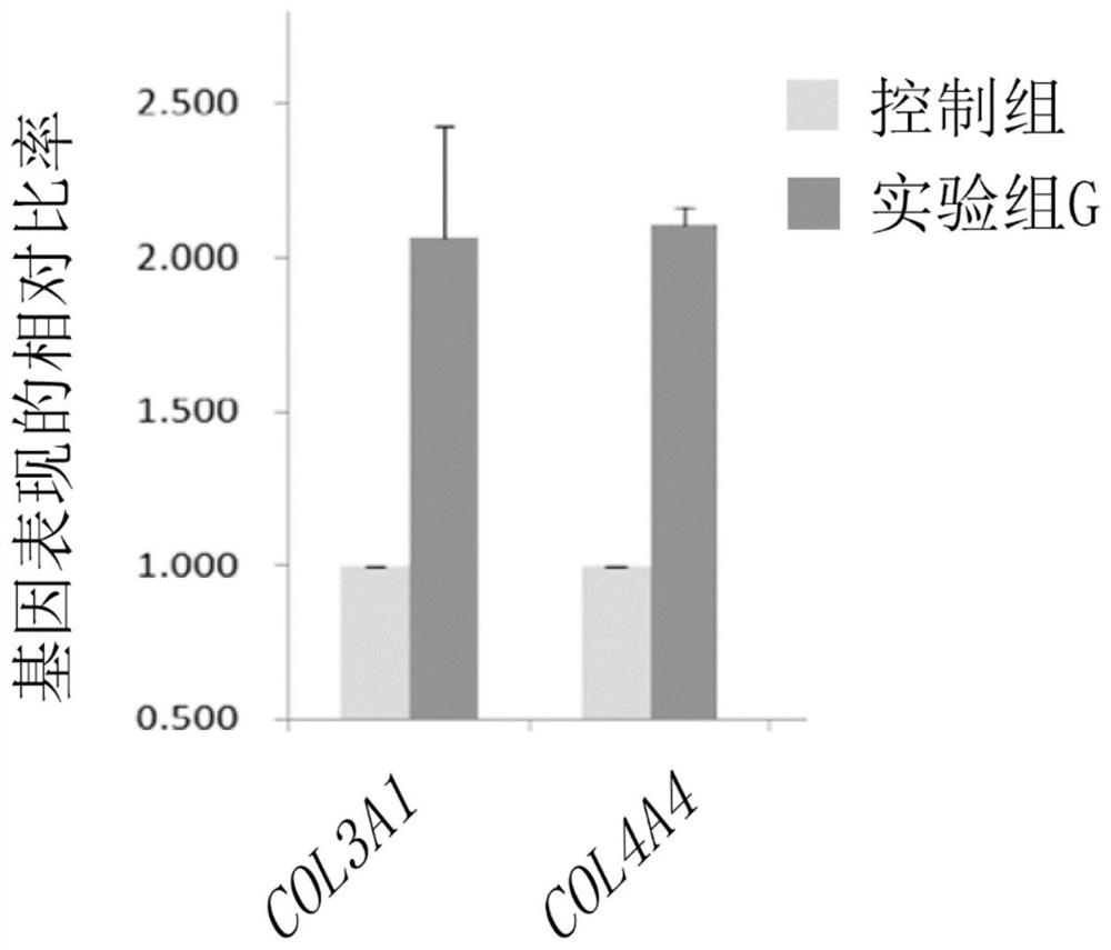 Use of bioactive substances for preparation of anti-aging compositions