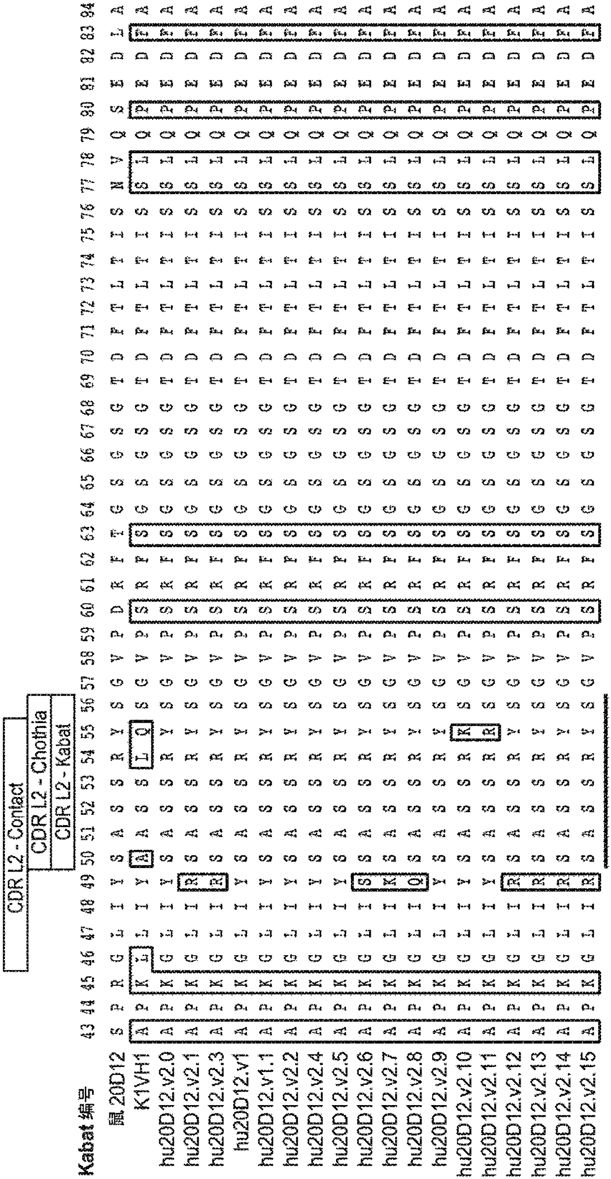 Anti-factor d antibodies and conjugates