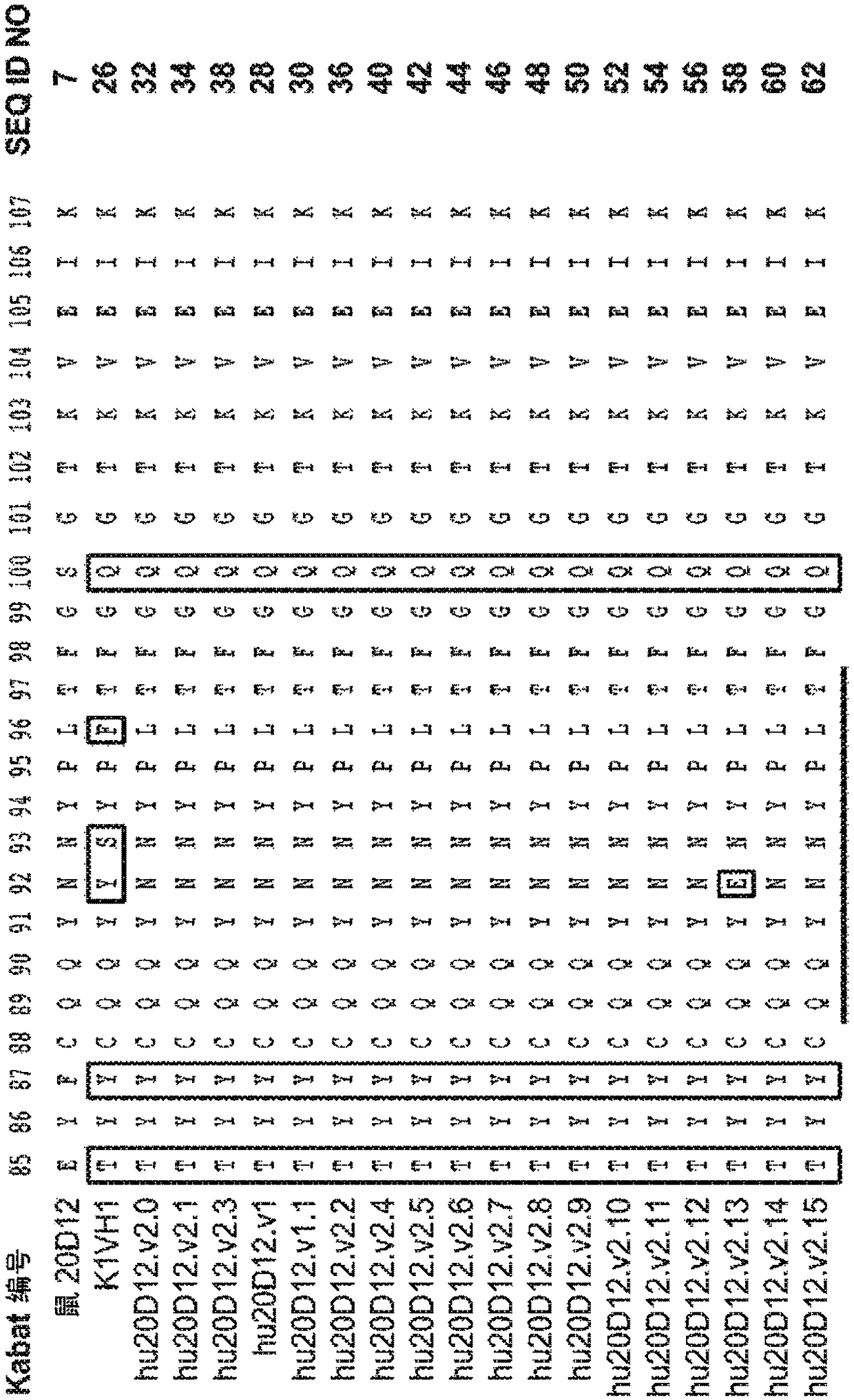 Anti-factor d antibodies and conjugates