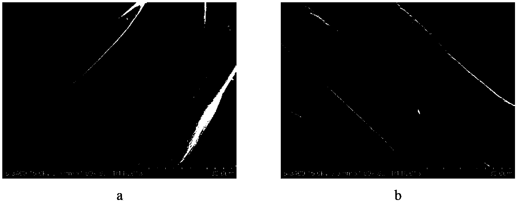 Method for low-temperature preparation of anatase titanium dioxide film on surface of cotton fabric