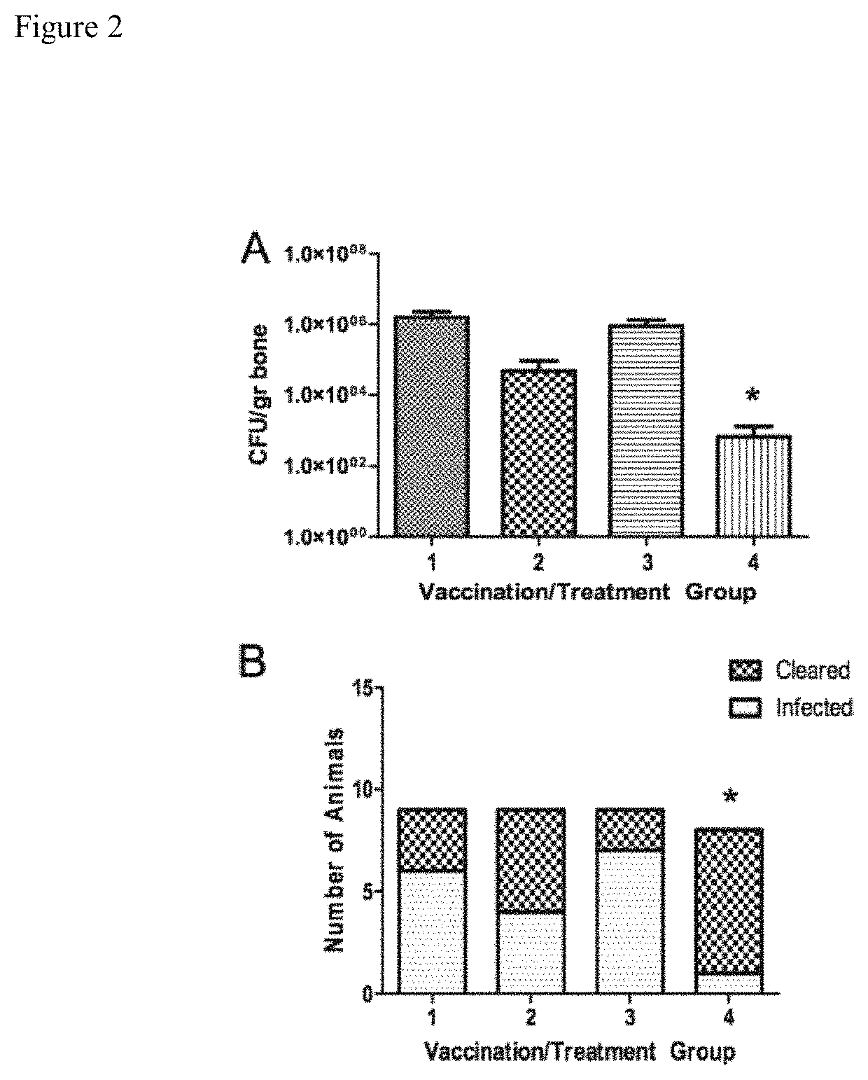 Multivalent vaccine protection from <i>Staphylococcus aureus </i>infection